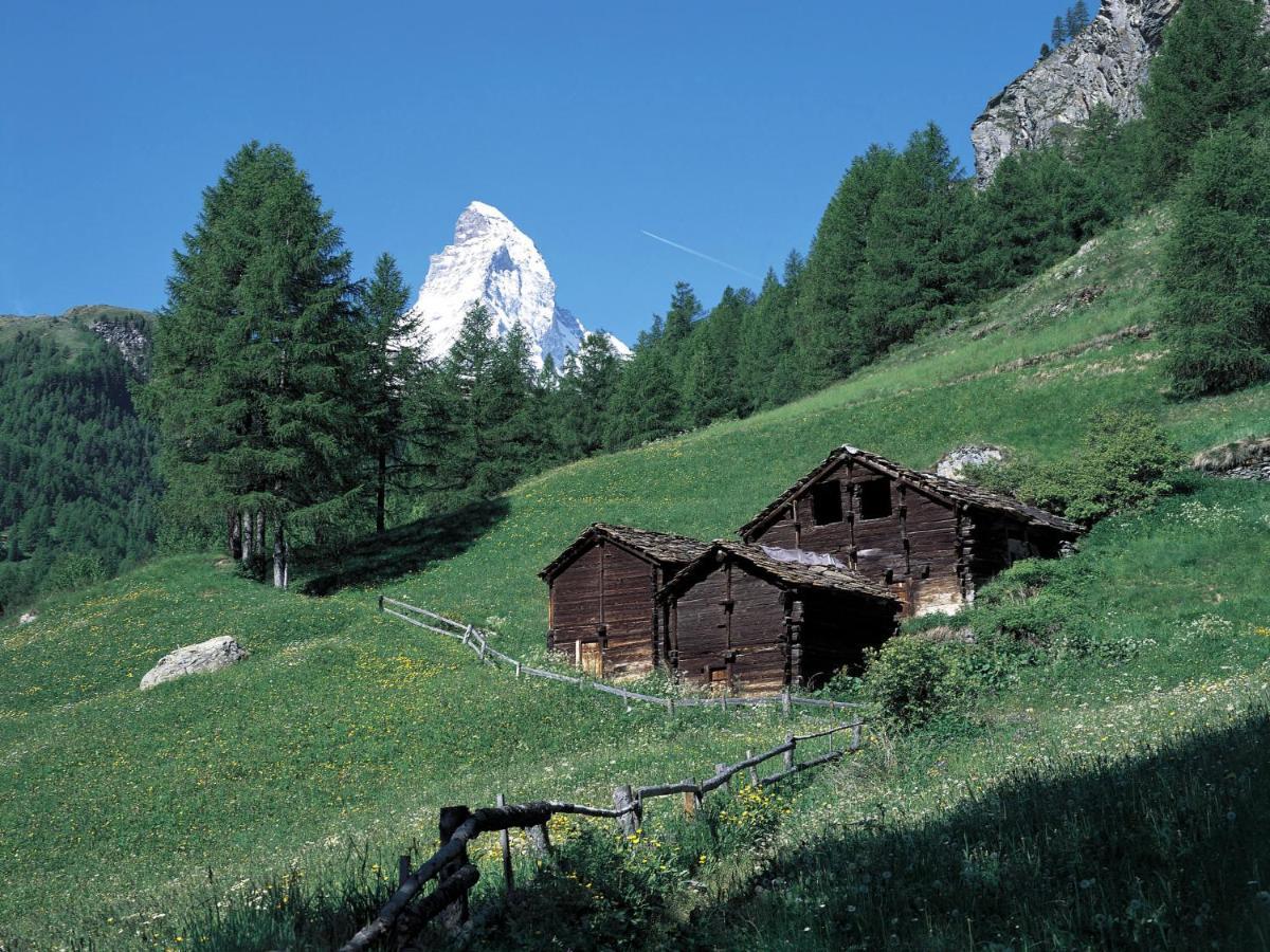 Apartment Zen Stecken A By Interhome Zermatt Dış mekan fotoğraf